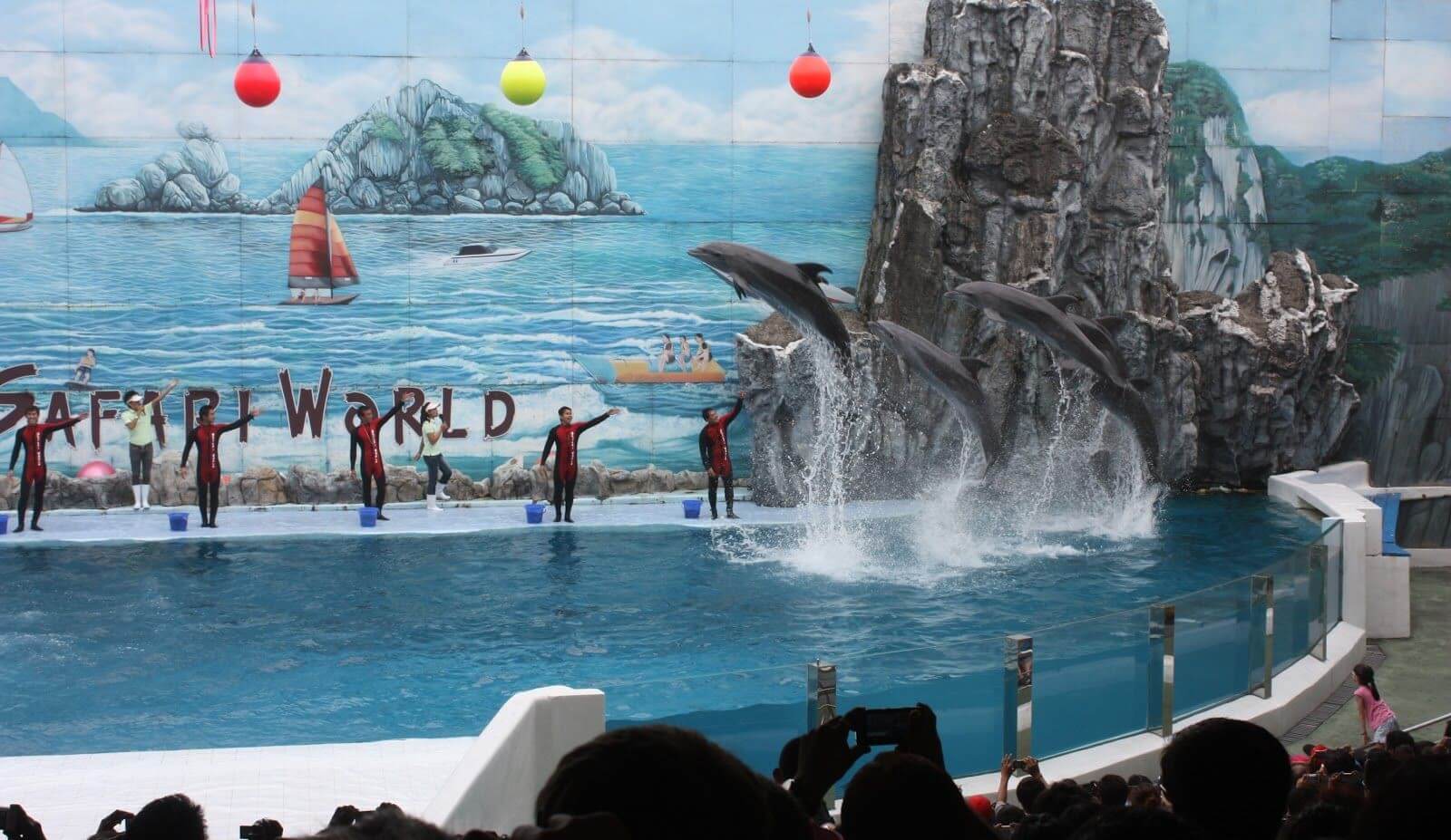 Chương trình biểu diễn xiếc cá heo trong Khu du lịch vui chơi giải trí Quốc tế Tuần Châu