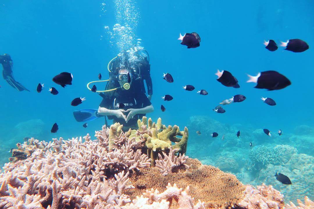 Hòn thơm được biết đến là điểm lặn ngắm san hô lý tưởng nhất khi du lịch Phú Quốc.