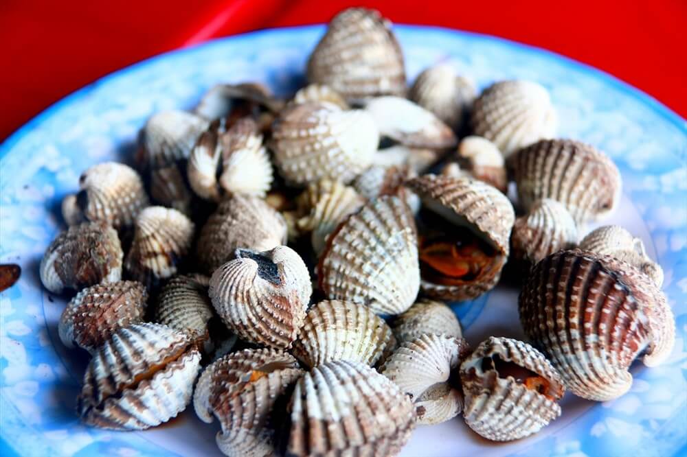 Sò huyết thơm ngon, dày thịt