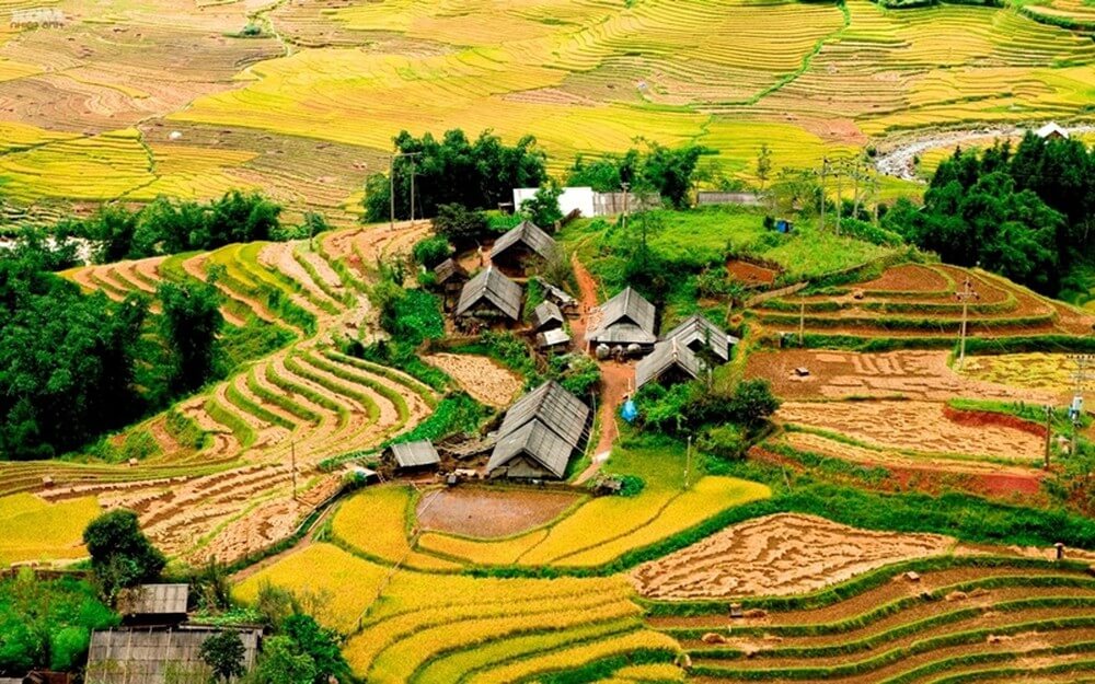 Tả Phìn