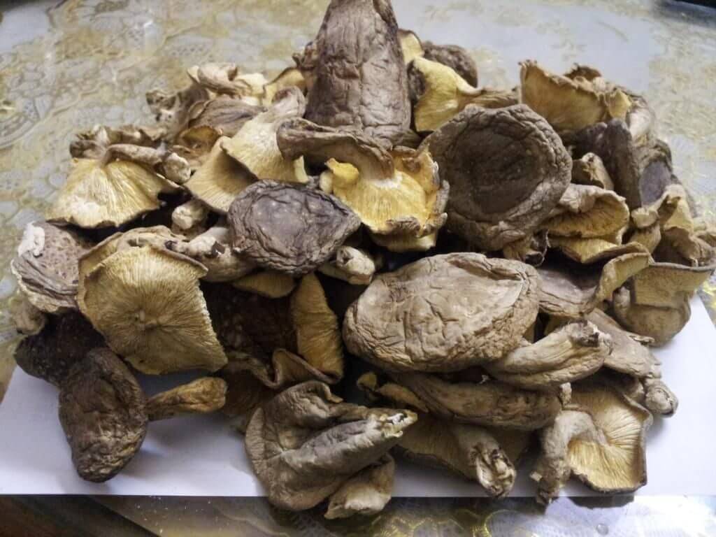 Nấm hương đặc sản Sapa