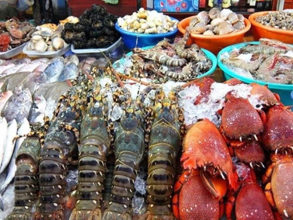 Các loại hải sản Côn Đảo