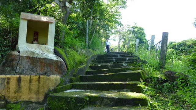Dạo bước ven đường lên chùa Long Sơn để thưởng ngoạn cảnh đẹp tuyệt mĩ