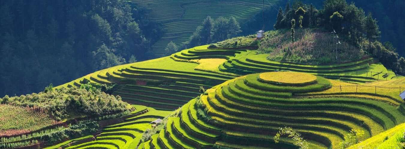 Vietnam Vizesi Türk Vatandaşları İçin