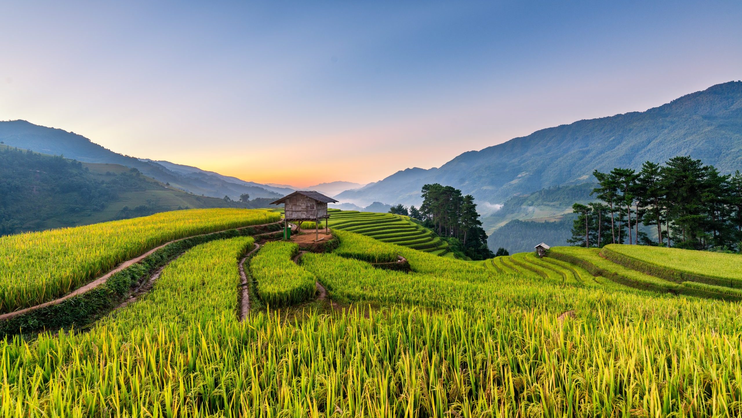 Navigating Vietnam Visa Requirements for Belarusians Essential Guide for a Smooth Journey